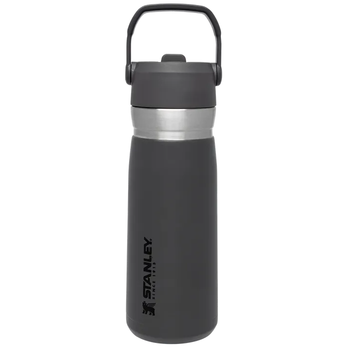 The Go Flip Straw Water Bottle | 22 OZ